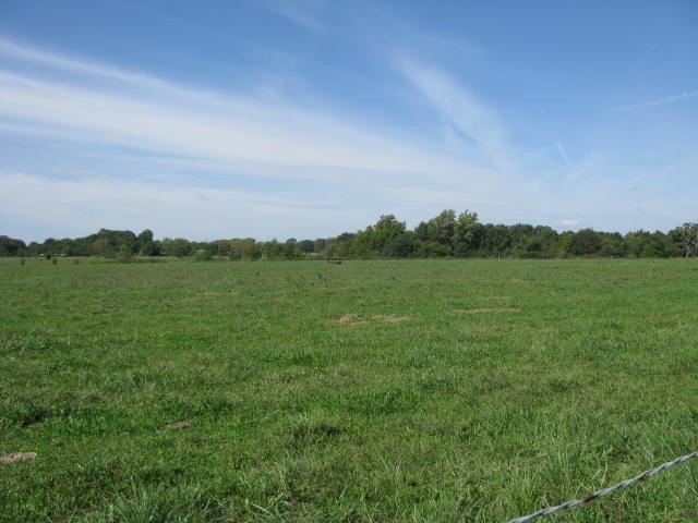 Picture 13