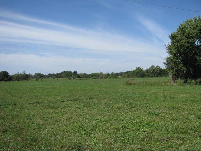 Picture 7