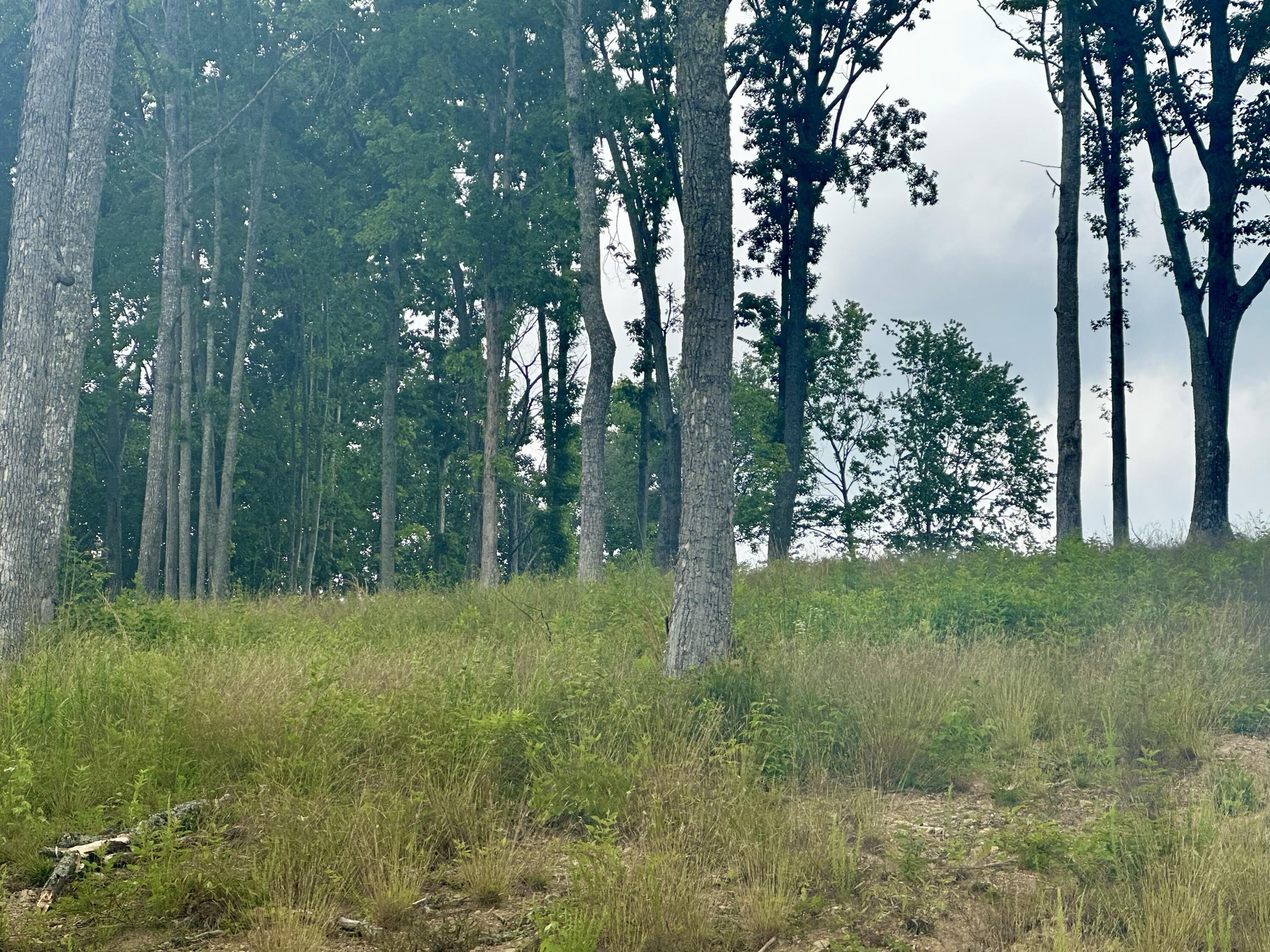 Residential Lots in Holly Grove Estates