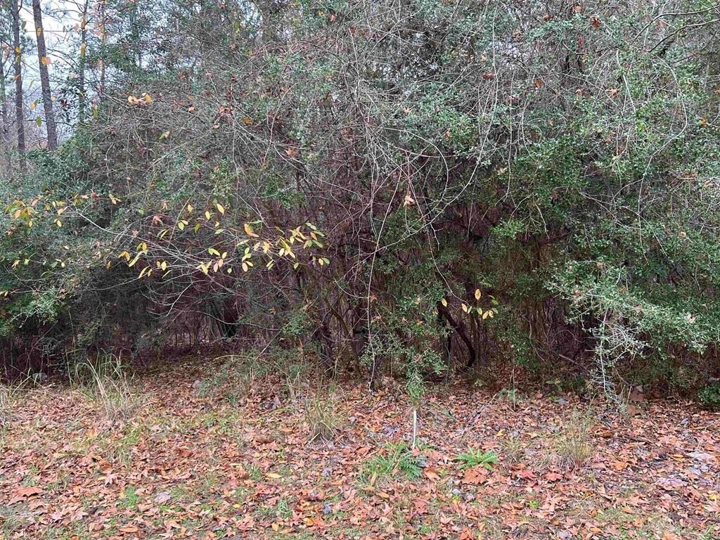 Picture 10