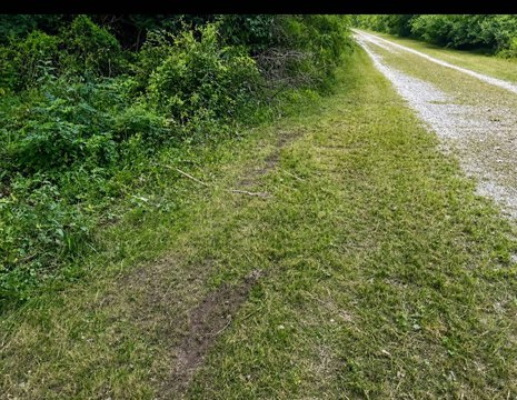 Land, Pembroke Township, IL