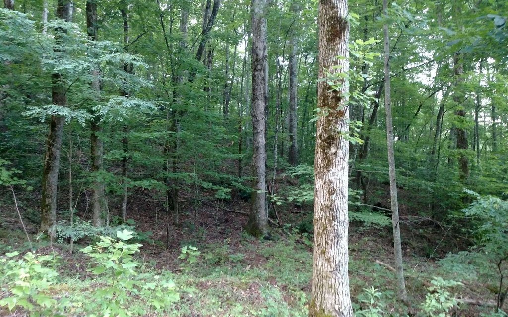 Picture 7