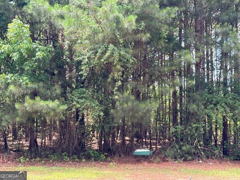 Fairburn Land in Gated Community