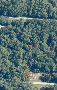 Crystal River Acreage for Dream Home