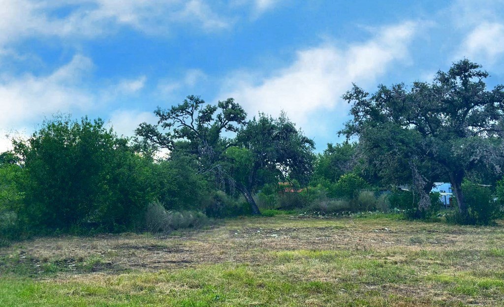 Picture 8