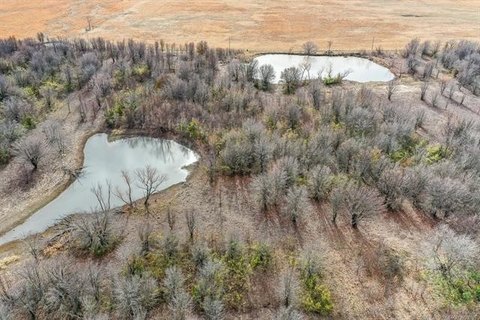 Secluded Wooded Acreage with Pond