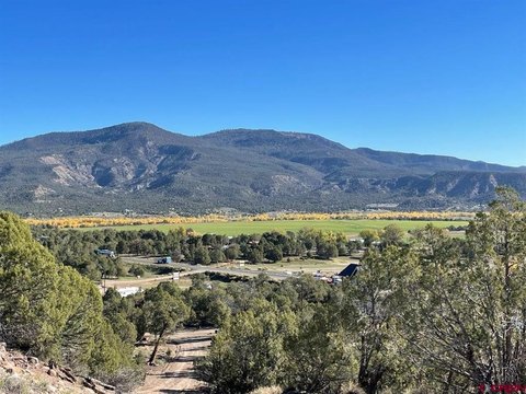Land For Sale, Arboles, CO