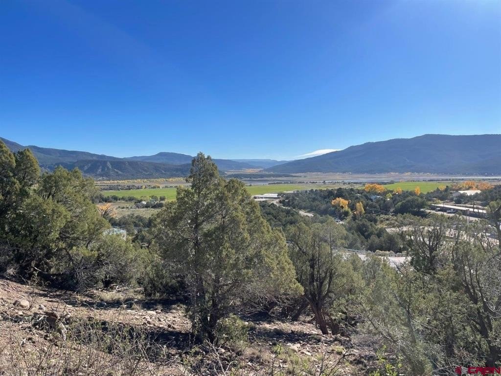 Picture 12