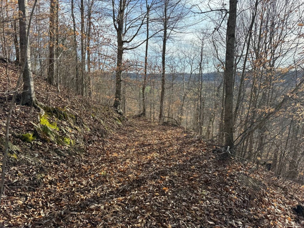 Picture 29