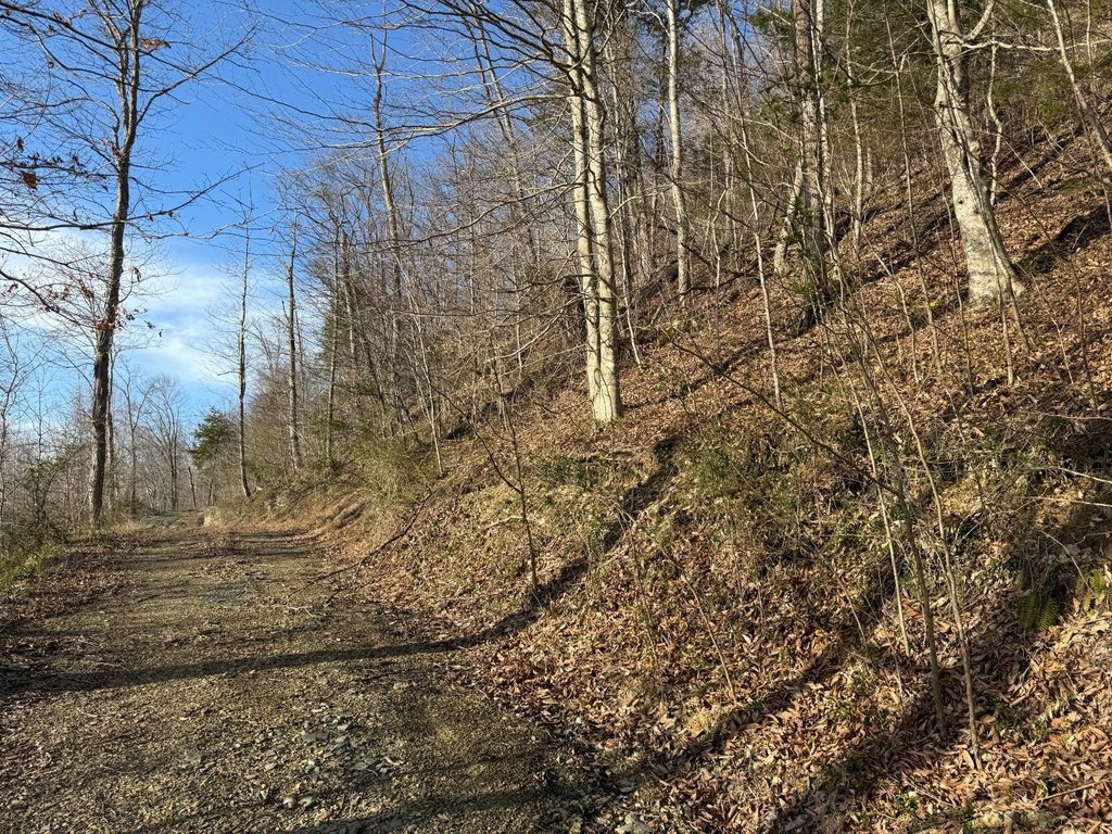 Picture 14