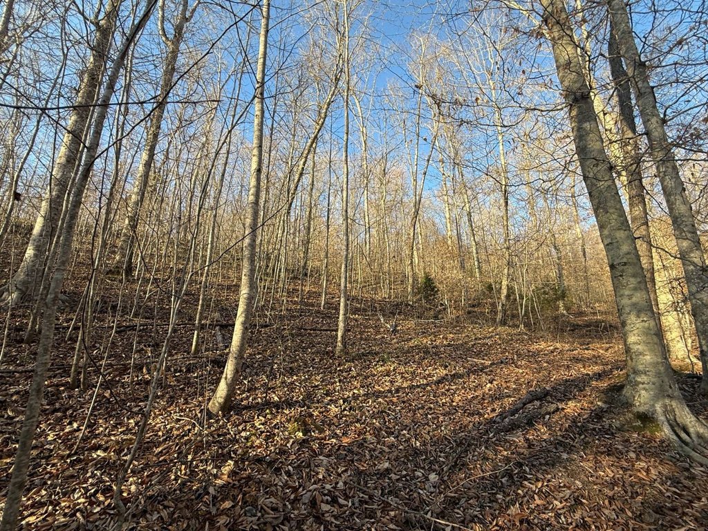 Picture 47