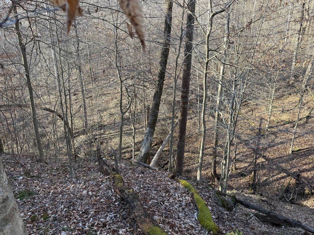Picture 42