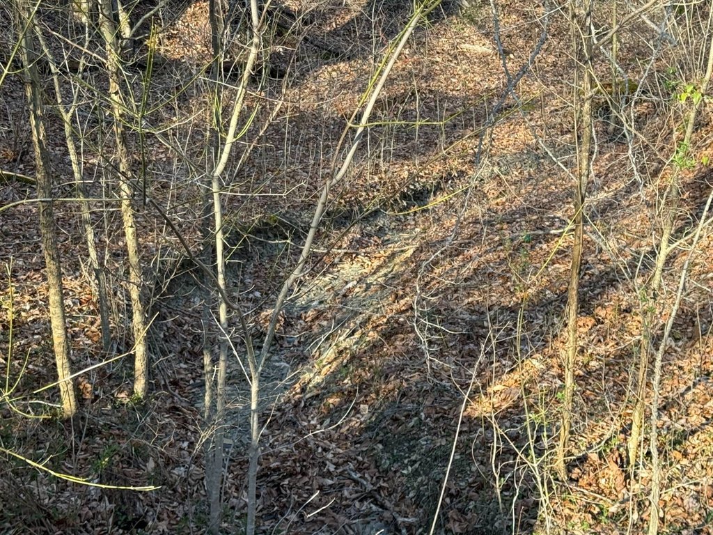 Picture 45
