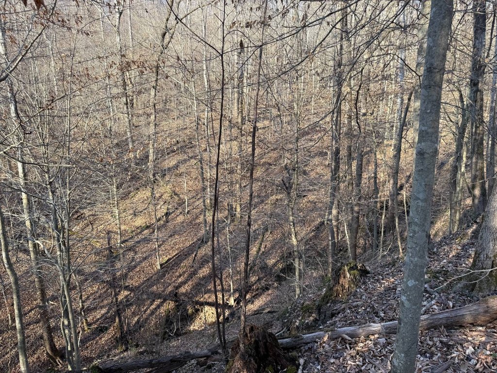 Picture 41