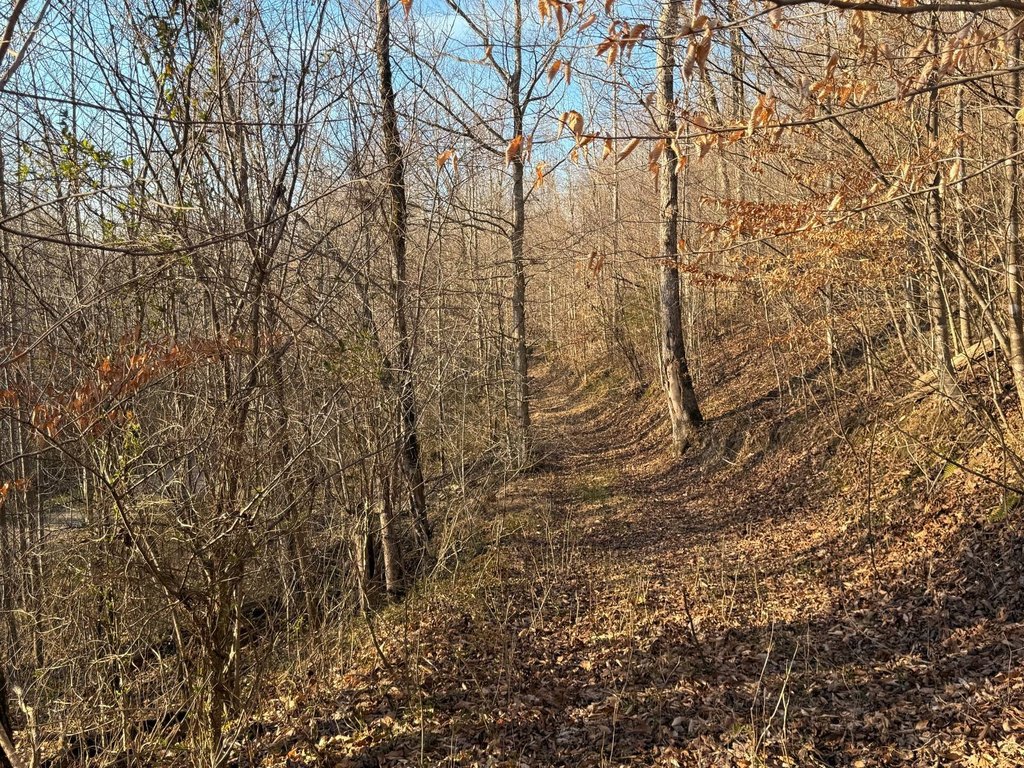 Picture 51