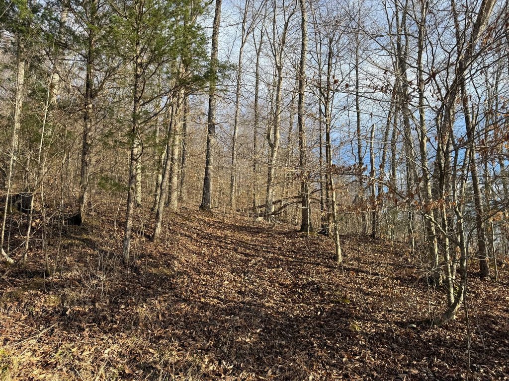 Picture 16