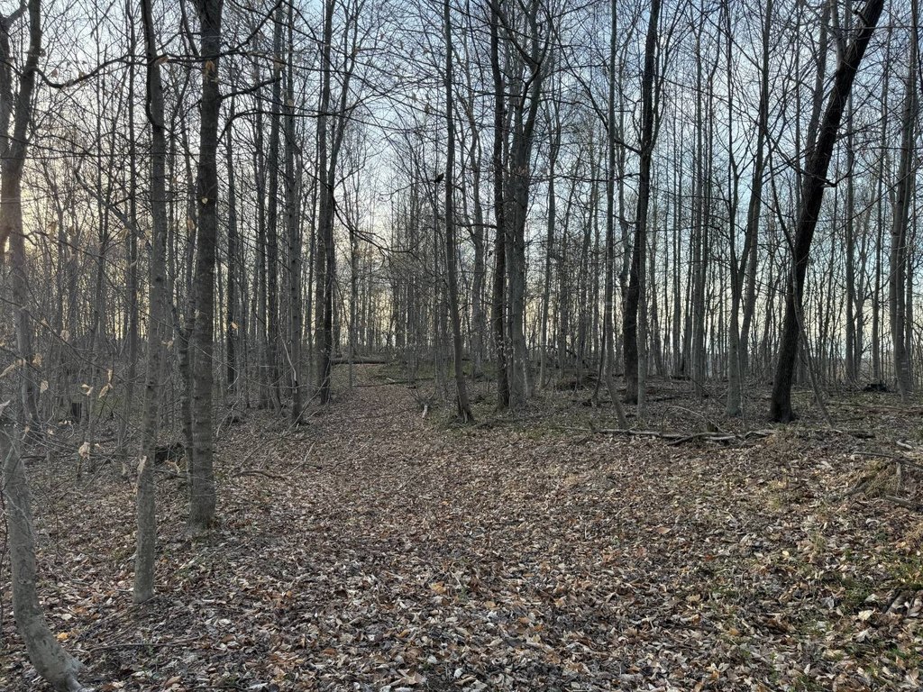 Picture 69