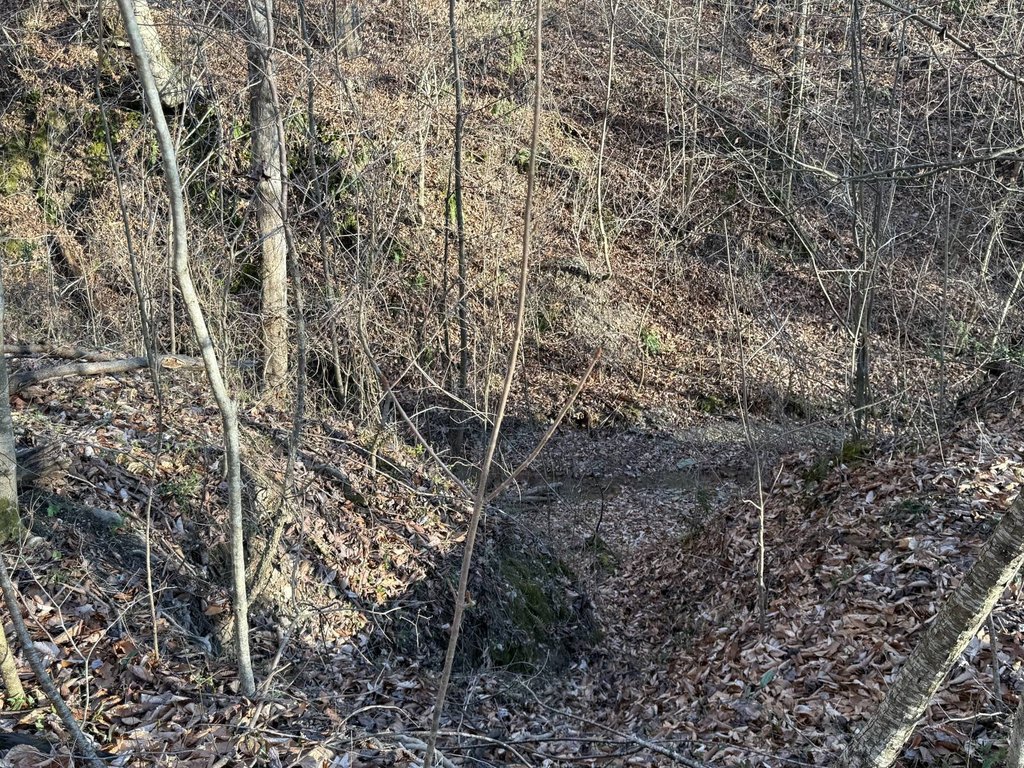 Picture 48
