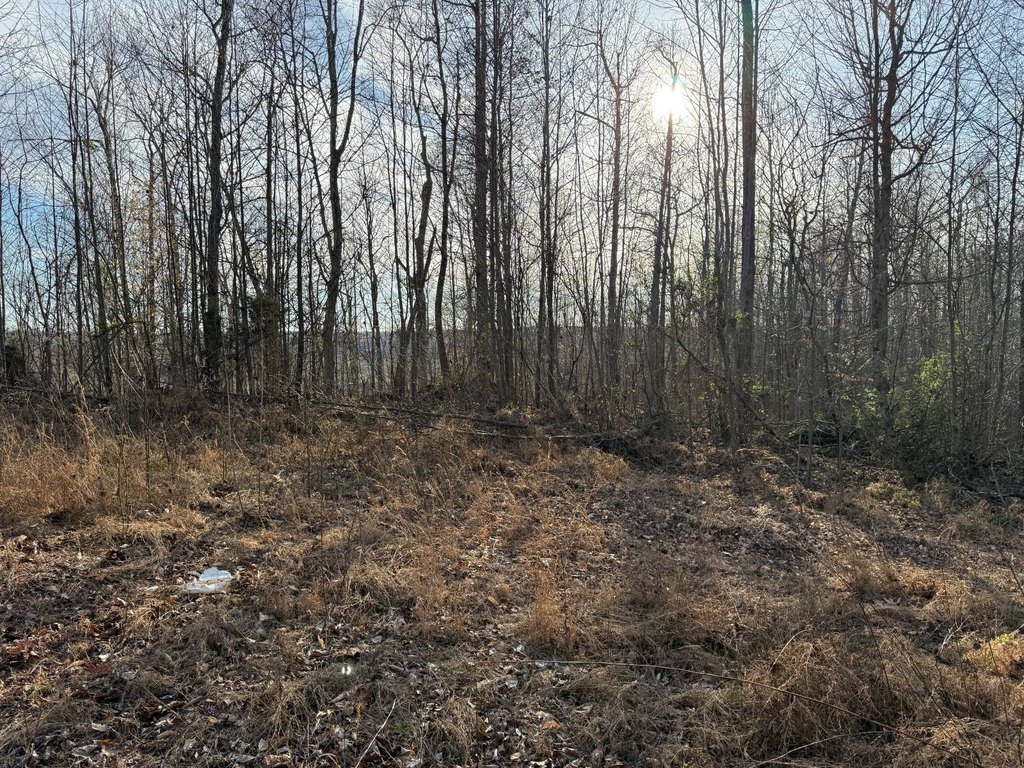 Picture 18