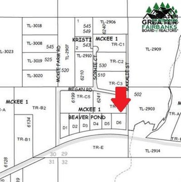 Fairbanks Land with Creek Access