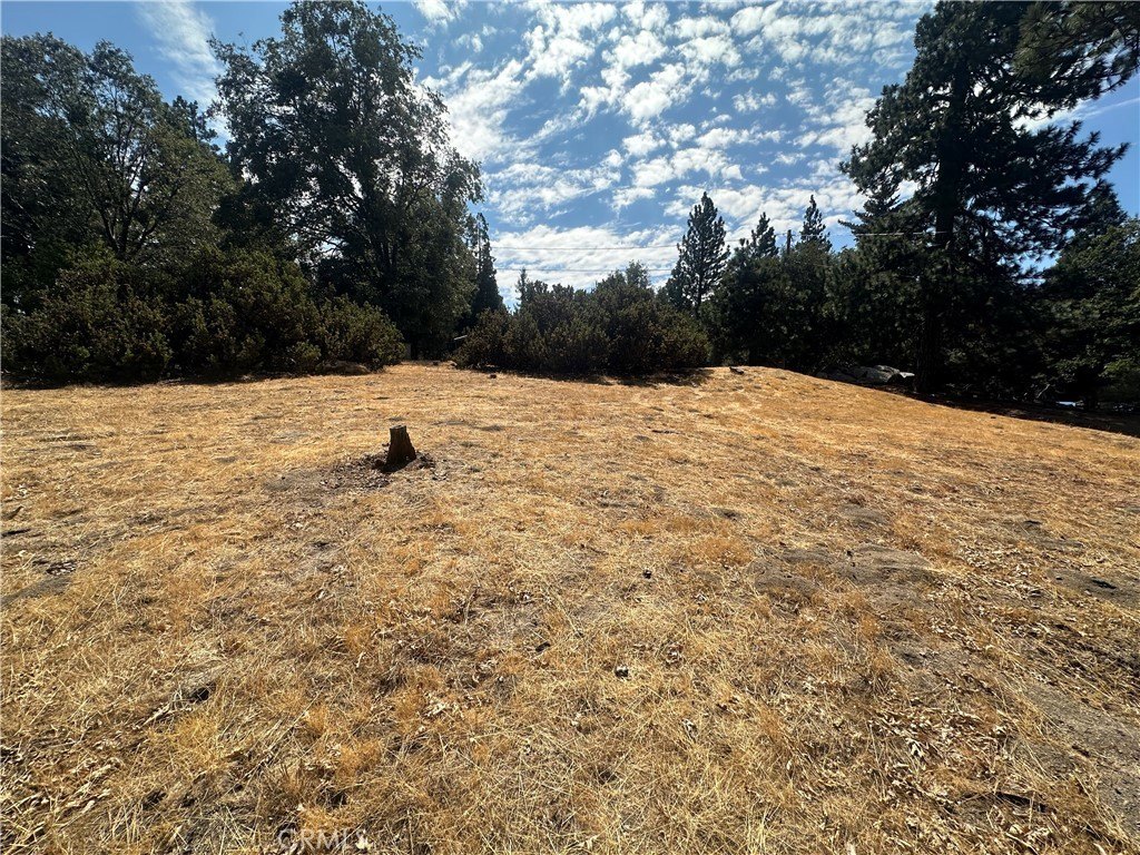 Picture 26