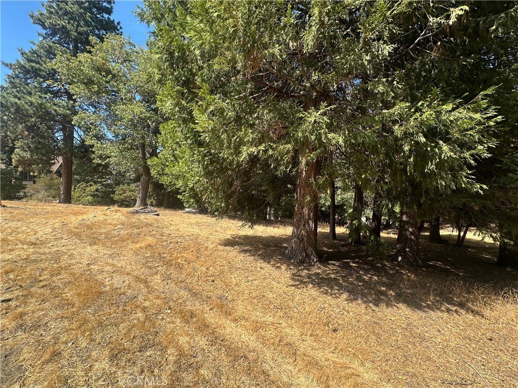 Picture 24