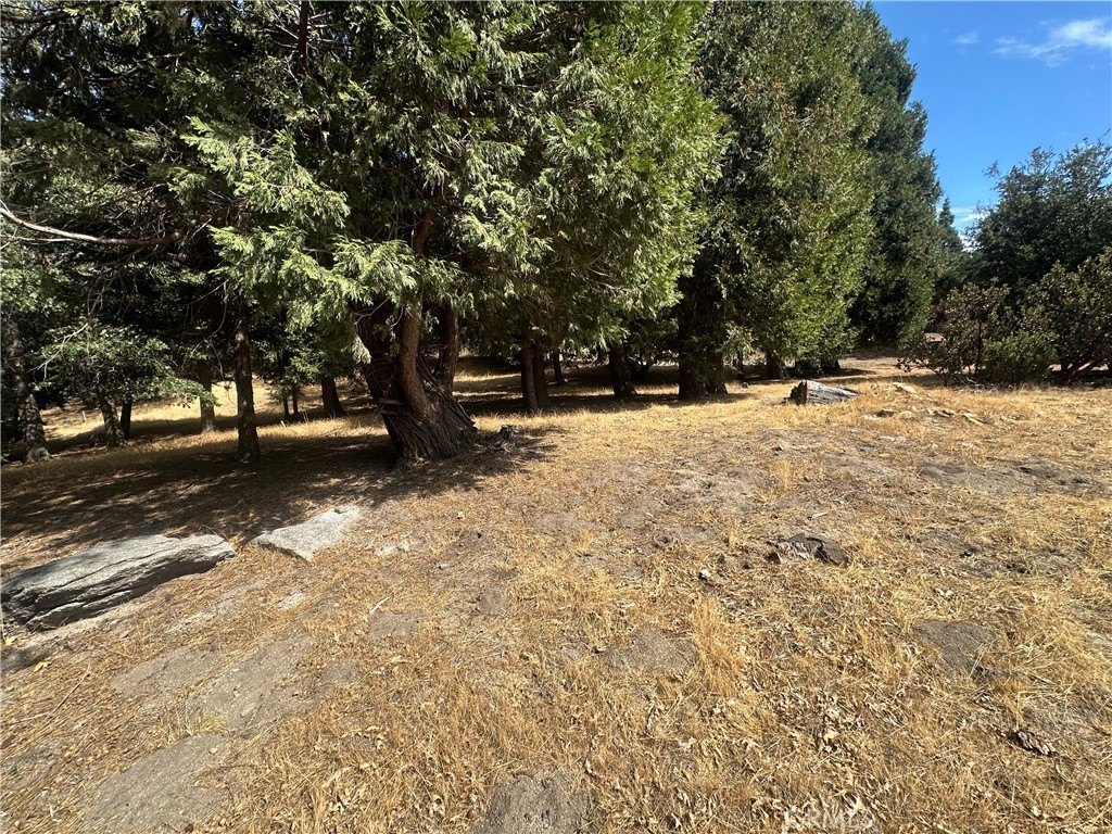 Picture 28