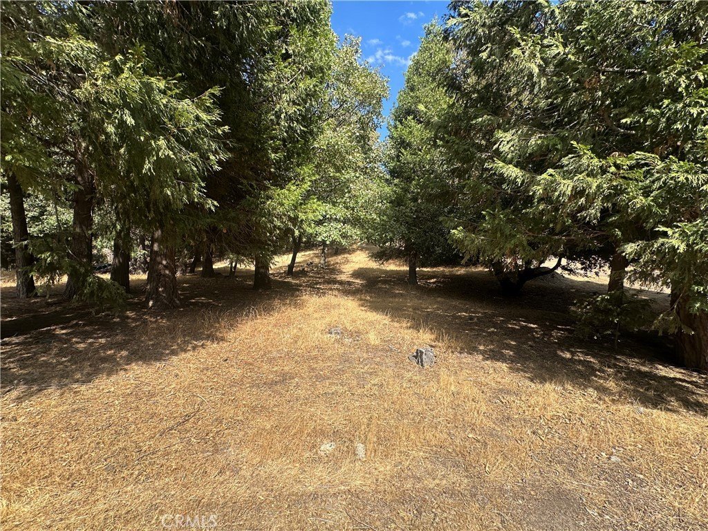 Picture 25