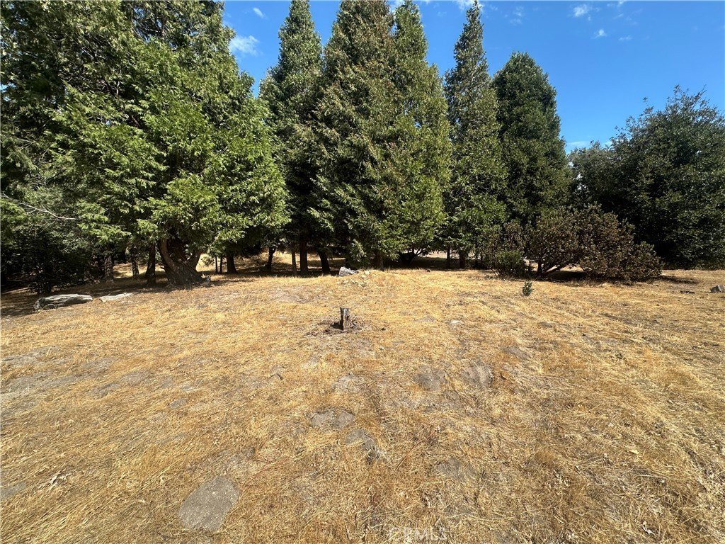 Picture 30
