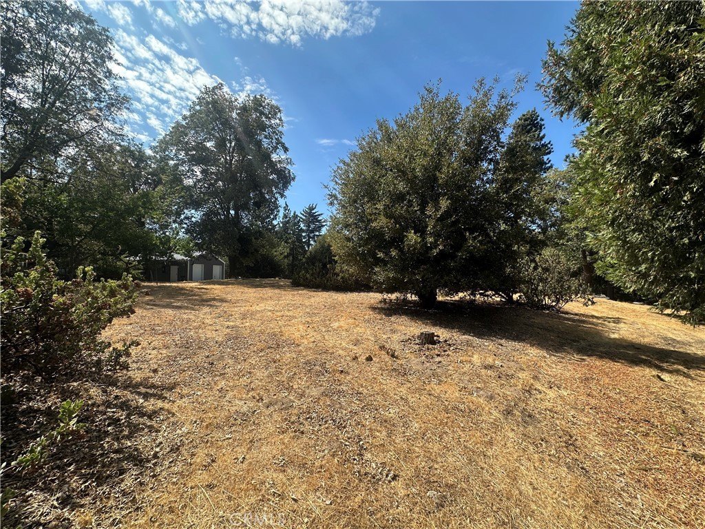 Picture 21