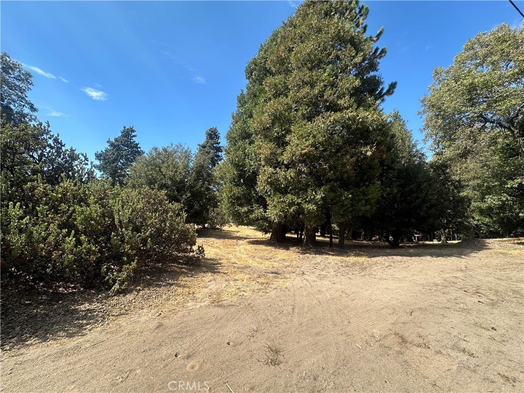 Picture 20