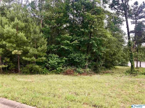 Wooded Lot in Raintree Subdivision