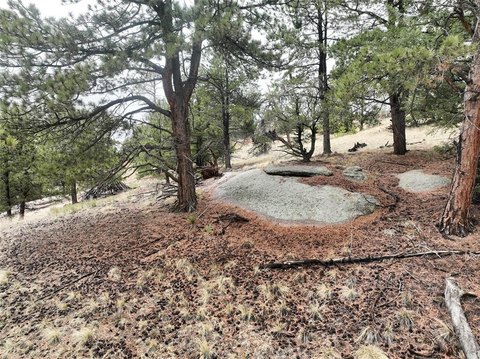 Treed Lot in Mountain Estates