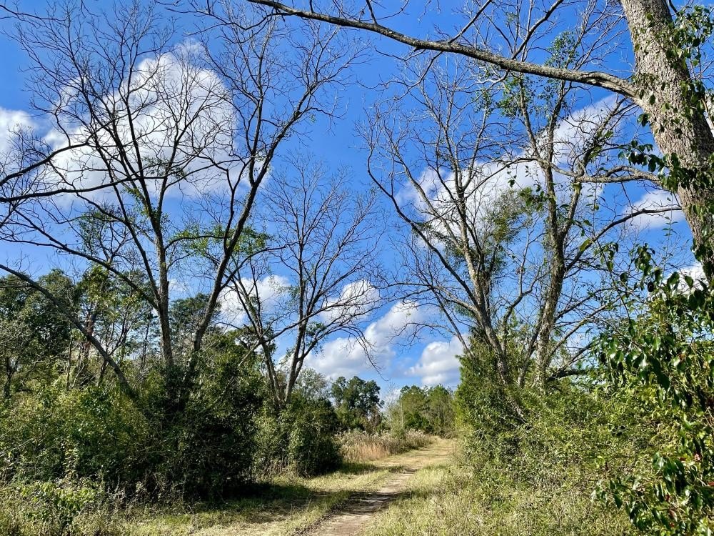 Picture 30