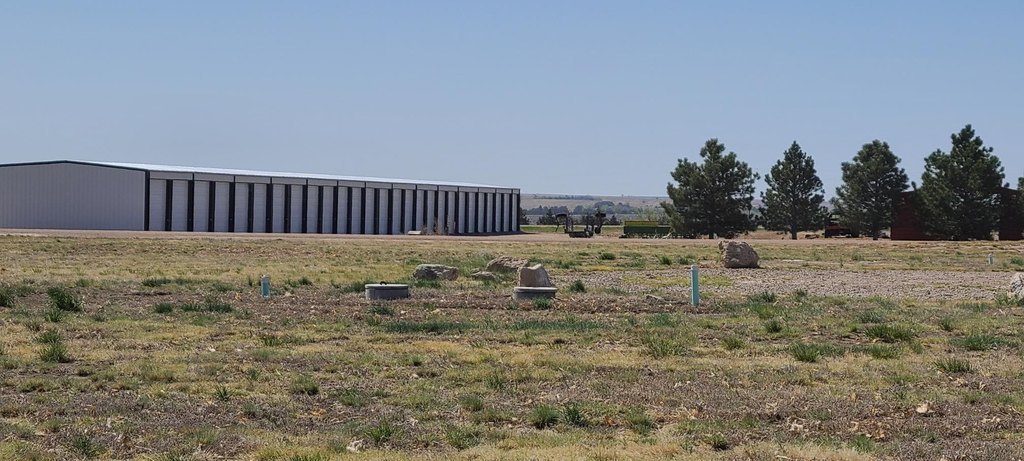 Picture 14