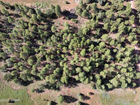 Lakeside, AZ Land Opportunity