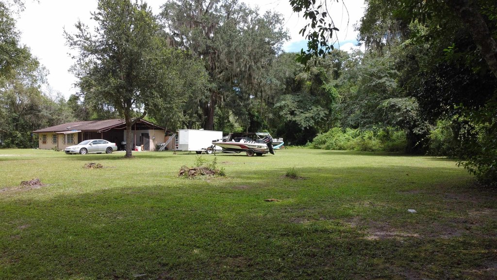 Picture 9