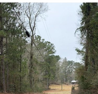 Laurel, MS Pasture Land