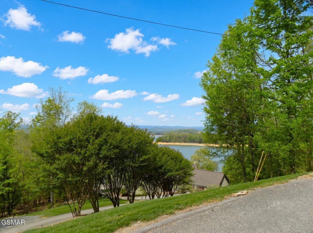 Picture 4