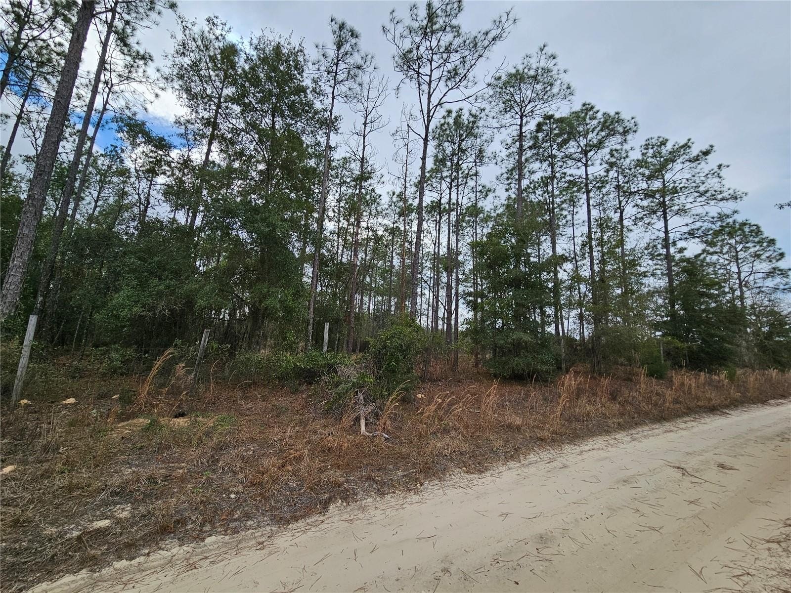 Fenced 2-Acre Williston Parcel