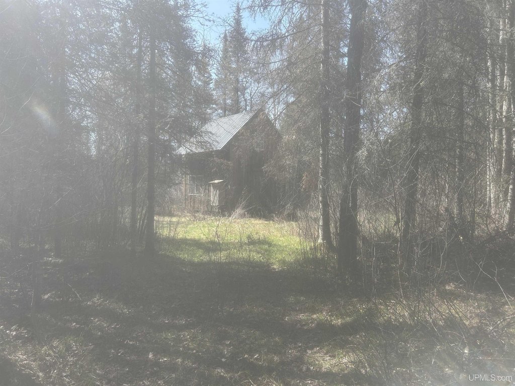Picture 6