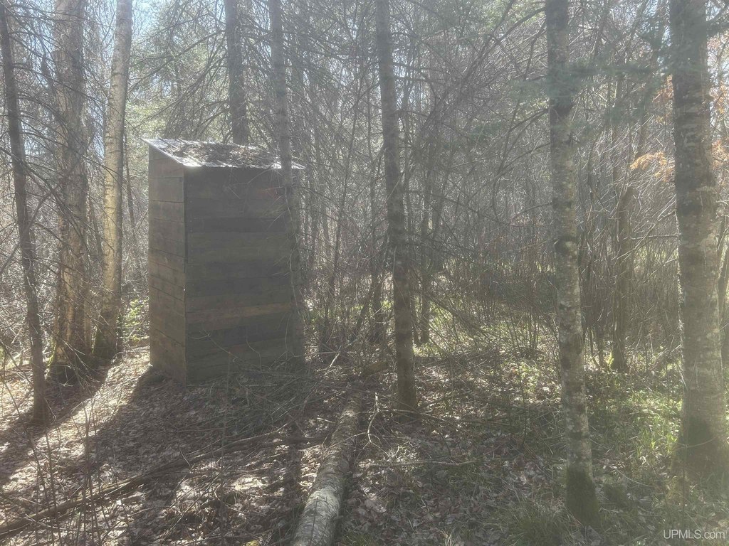 Picture 13