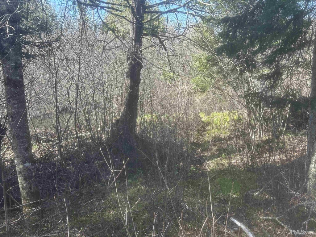 Picture 3