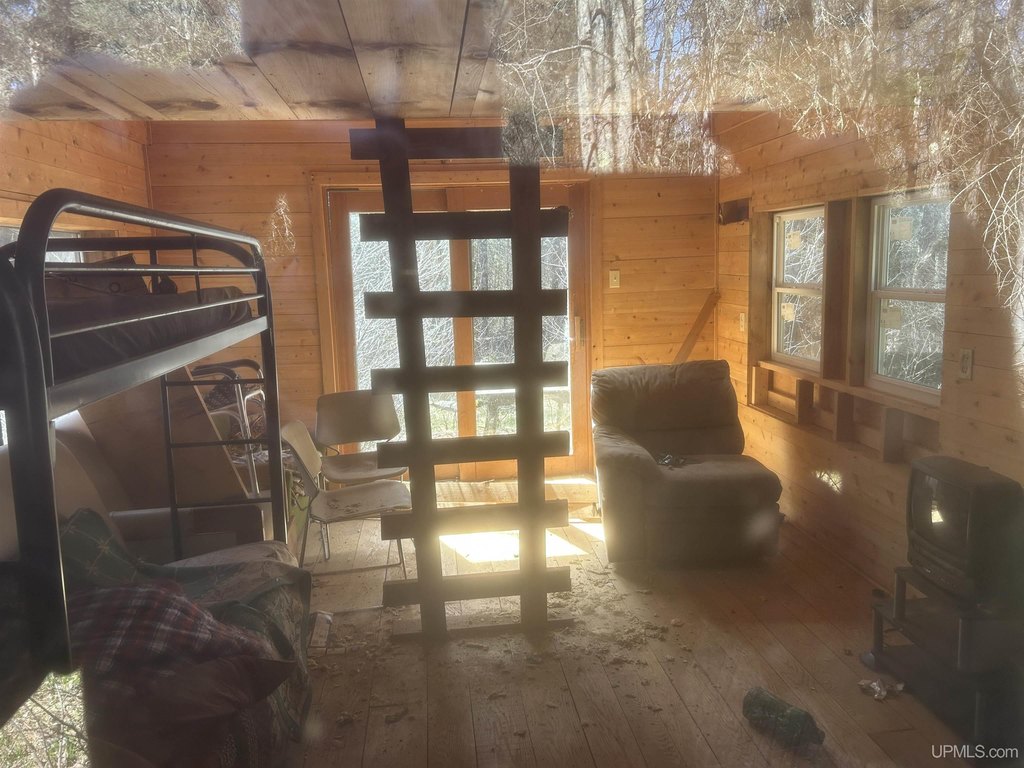 Picture 12