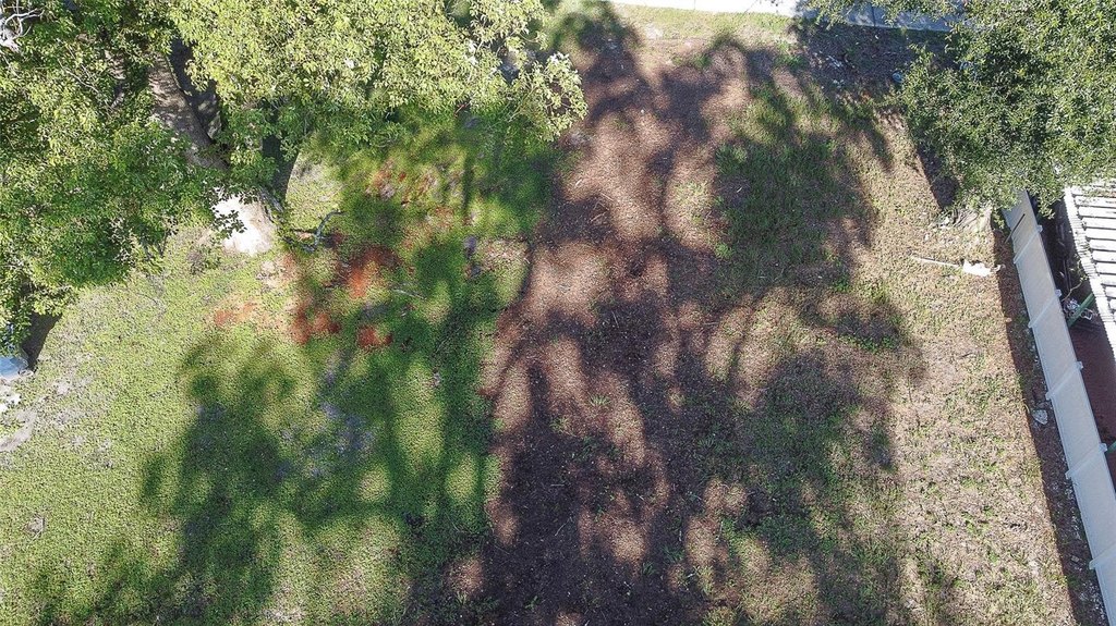 Picture 18
