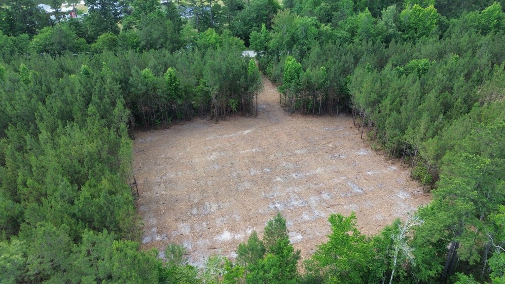 Picture 5