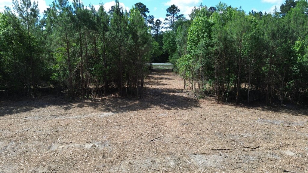 Picture 3