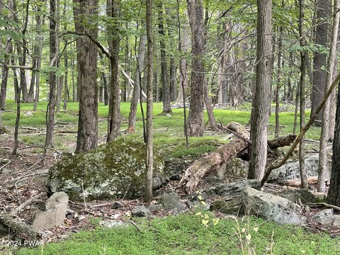 Land Near Lake Wallenpaupack