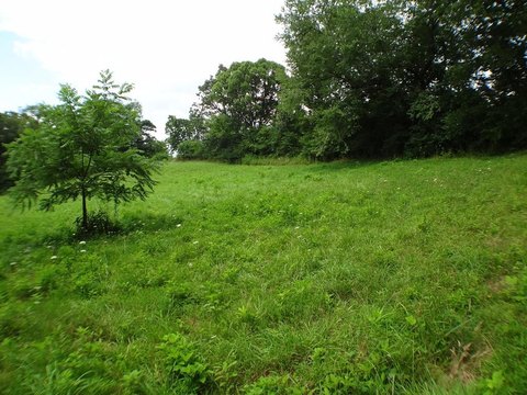Residential Land in Porter Creek