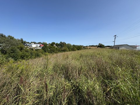 Commercial Land in Flemingsburg, KY